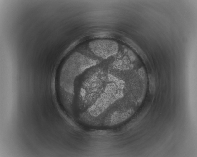 X0000111860482200908201301