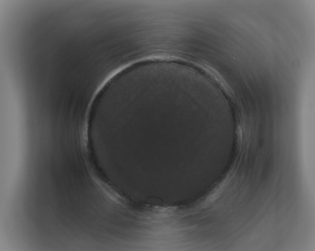 X0000111860484200908201301