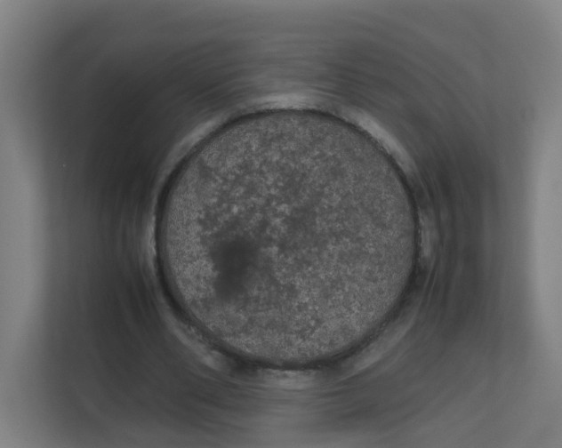 X0000111860486200908201301
