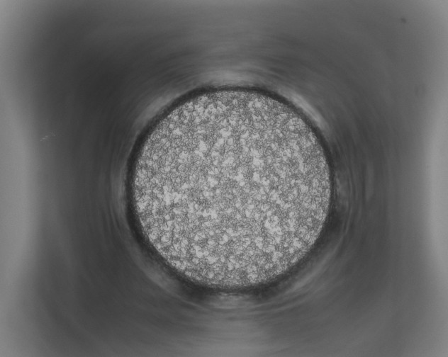 X0000111860487200908201301
