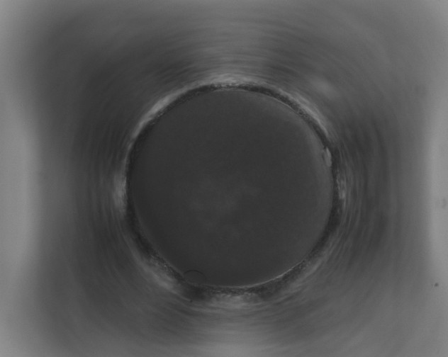 X0000111860488200908201301