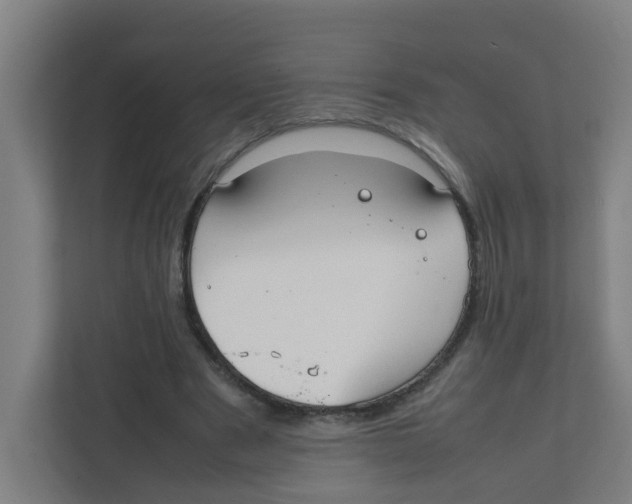 X0000111860489200908201301