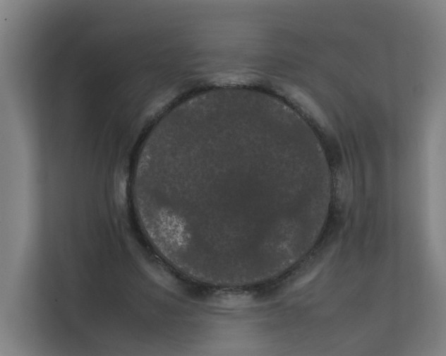 X0000111860491200908201300