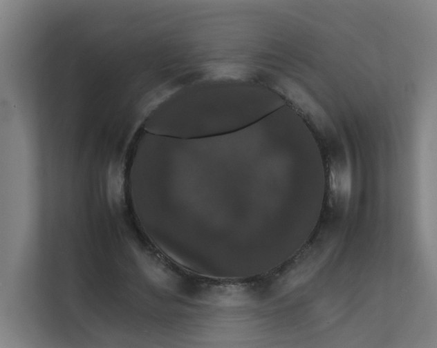 X0000111860492200908201300