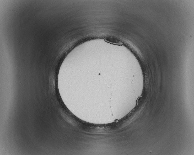 X0000111860493200908201300