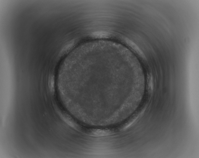 X0000111860494200908201300