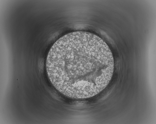 X0000111860495200908201300