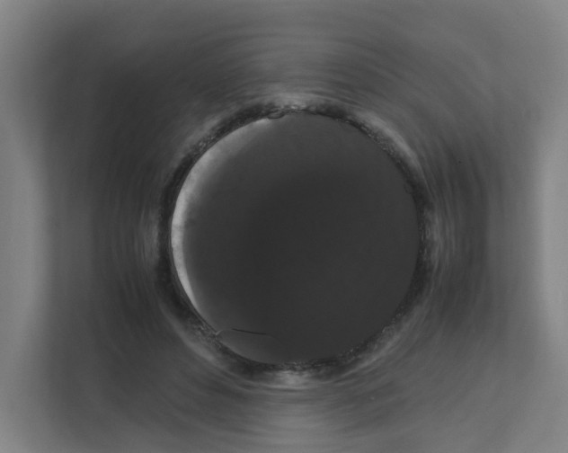 X0000111860496200908201300