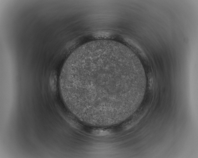 X0000111860498200908201300