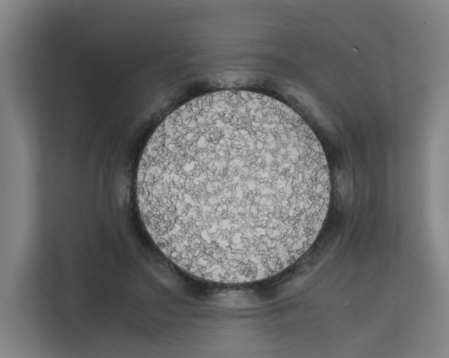 X0000111860499200908201300