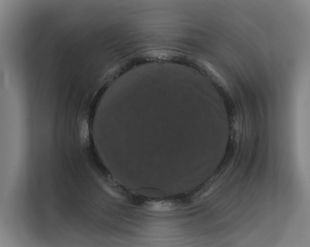 X0000111860500200908201300