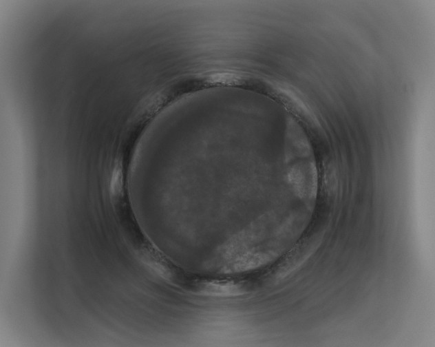 X0000111860502200908201300
