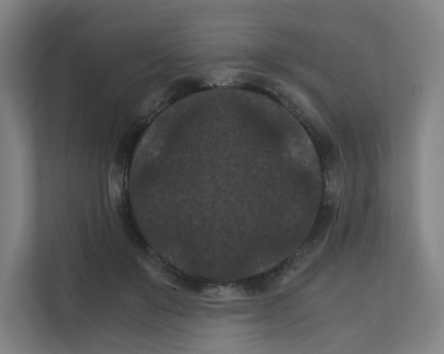 X0000111860503200908201300