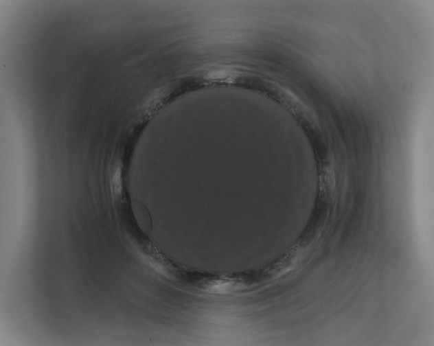 X0000111860504200908201300