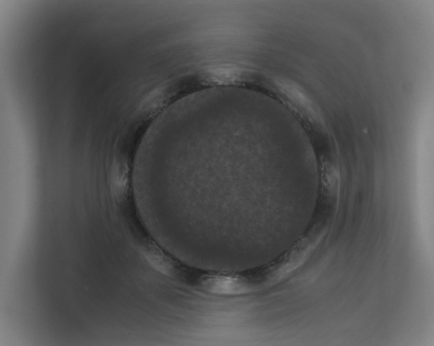 X0000111860507200908201300