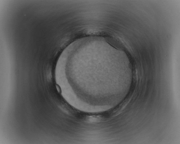 X0000111860508200908201300