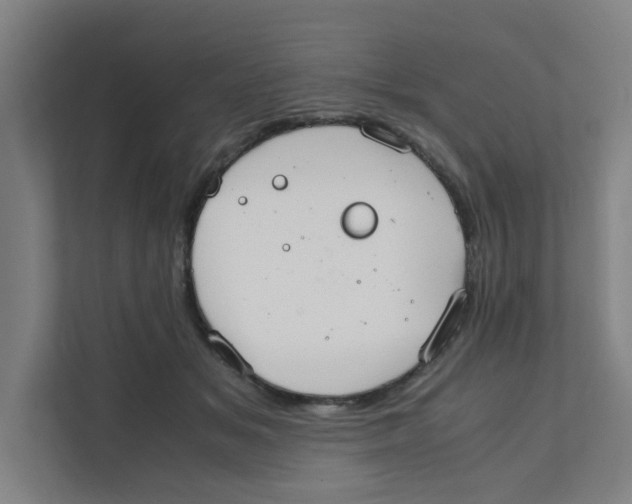 X0000111860509200908201300