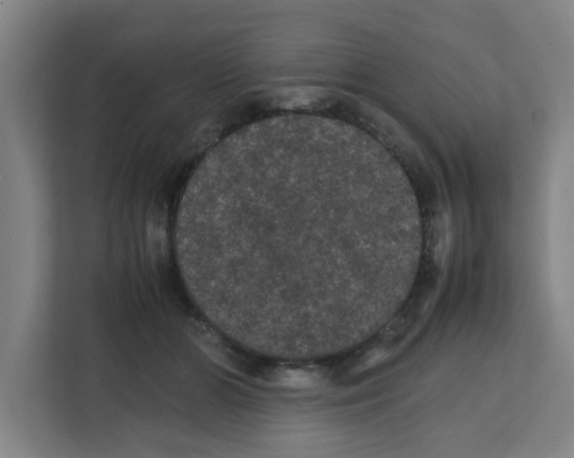 X0000111860510200908201300