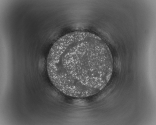 X0000111860511200908201300