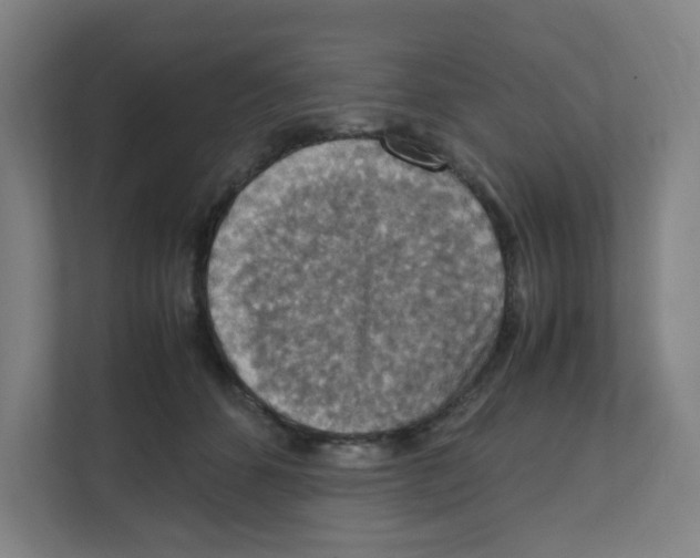 X0000111860512200908201300