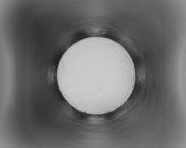 X0000111860515200908201300