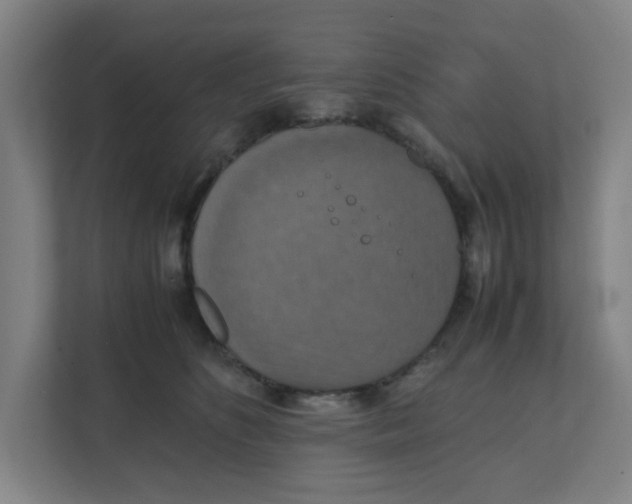 X0000111860516200908201300