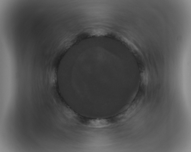 X0000111860517200908201300