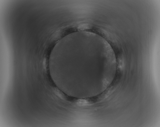 X0000111860519200908201300