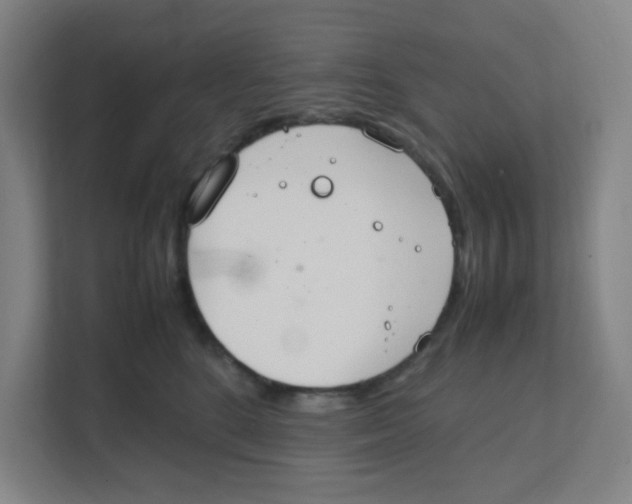 X0000111860520200908201300