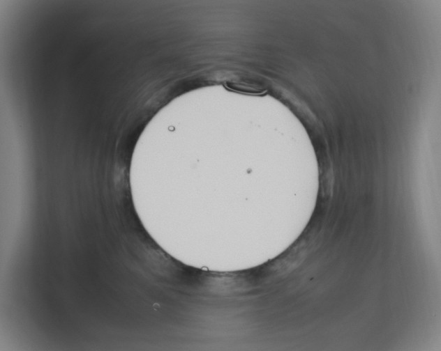 X0000111860521200908201300
