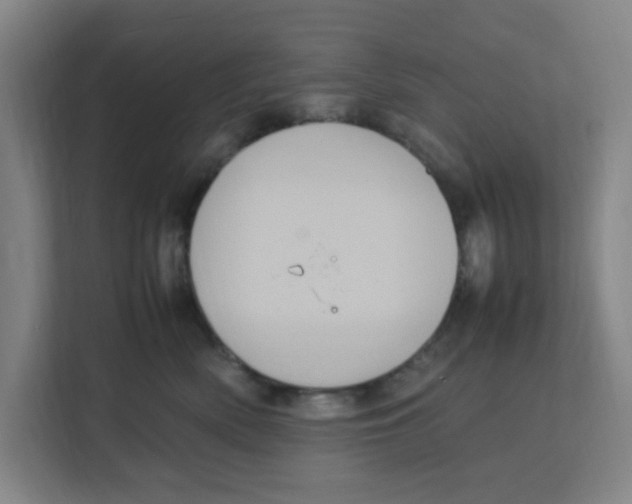 X0000111860522200908201300