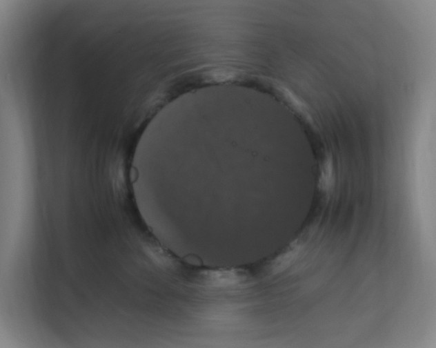 X0000111860524200908201300