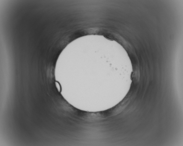 X0000111860525200908201300