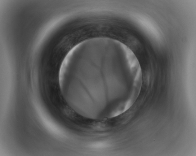 X0000111860526200908201300