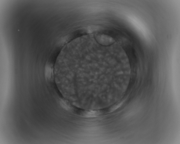 X0000111860527200908201300