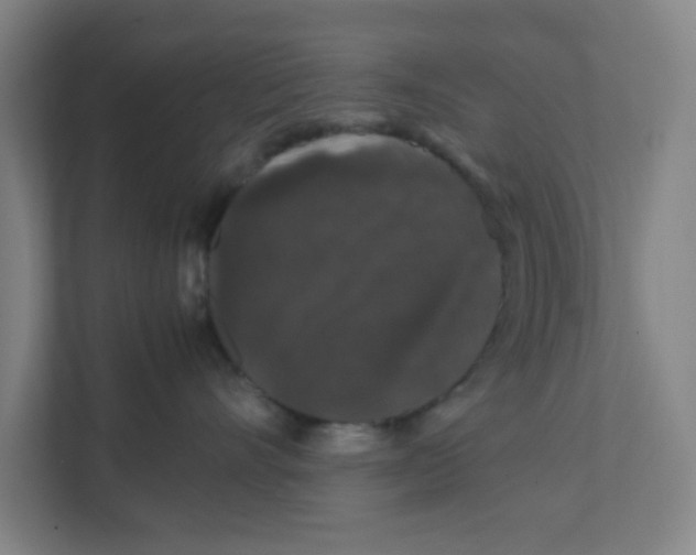 X0000111860528200908201300