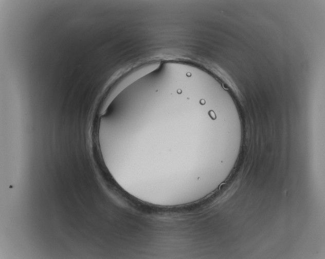 X0000111860530200908201259