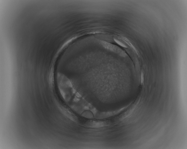 X0000111860531200908201259