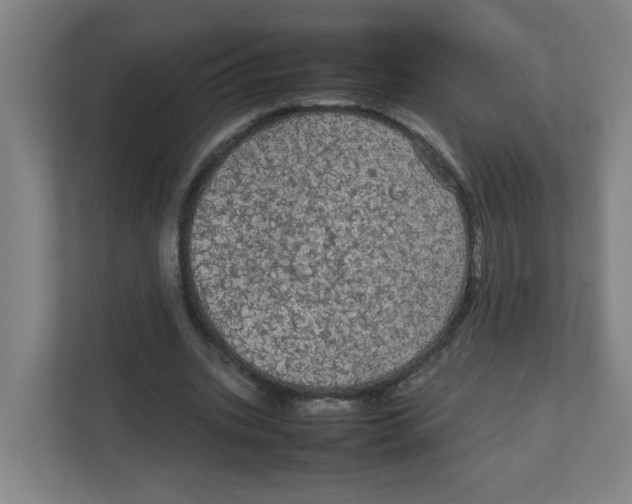 X0000111860535200908201259