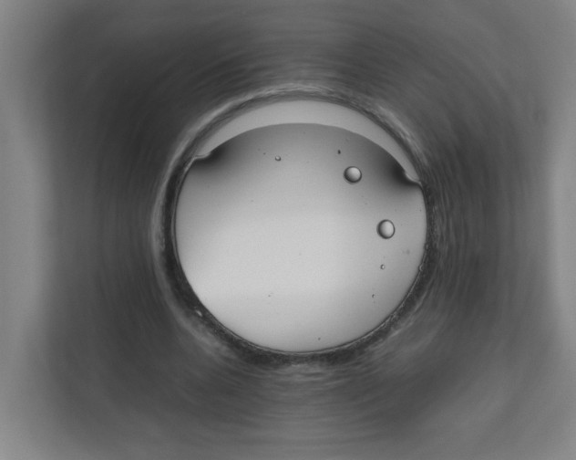 X0000111860536200908201259