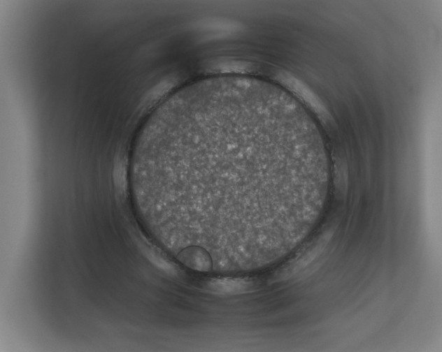 X0000111860537200908201259