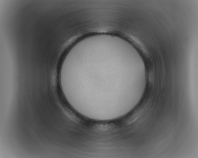 X0000111860540200908201259