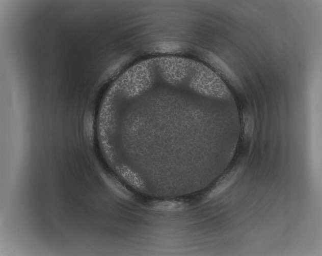 X0000111860542200908201259