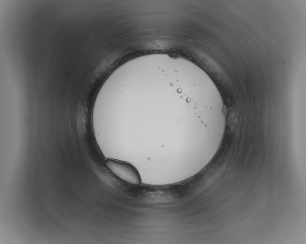 X0000111860544200908201259