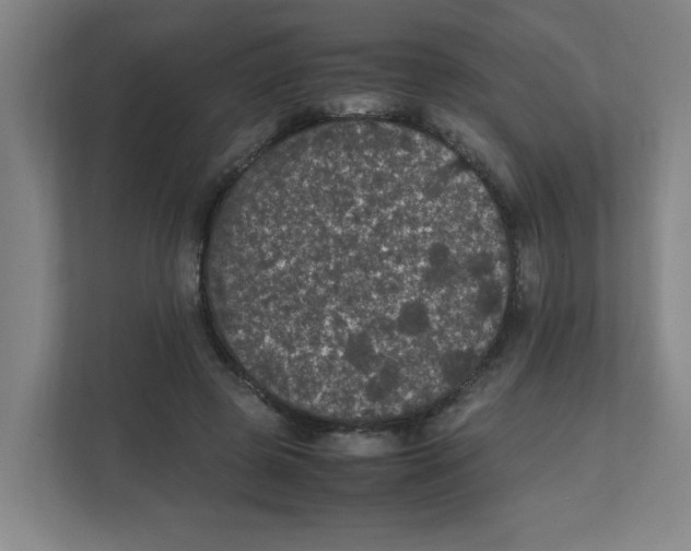 X0000111860545200908201259