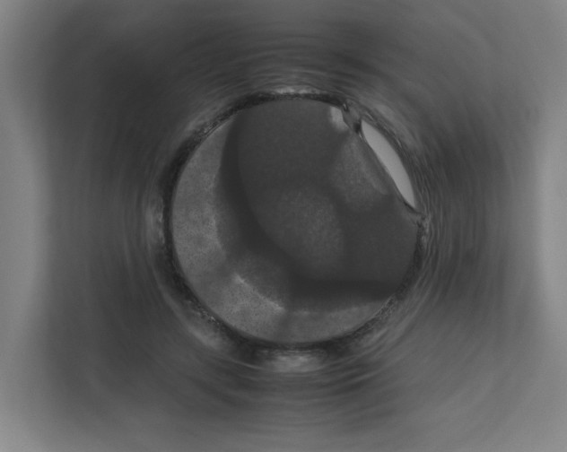 X0000111860547200908201259