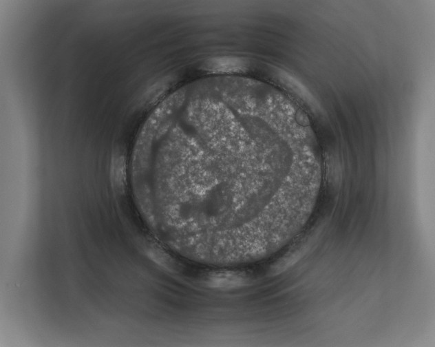 X0000111860549200908201259