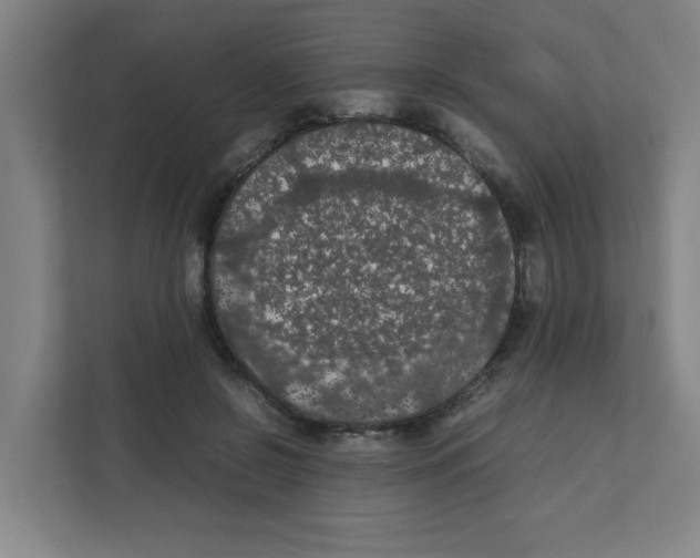 X0000111860550200908201259