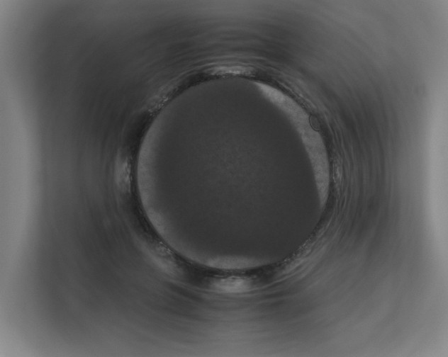 X0000111860551200908201259