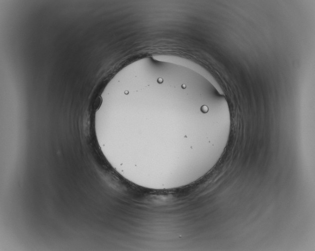 X0000111860552200908201259